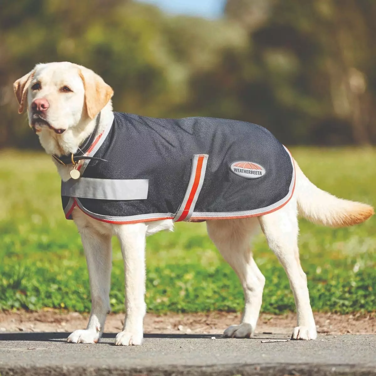 Weatherbeeta 1200D Therapy-Tec Waterproof Dog Coat